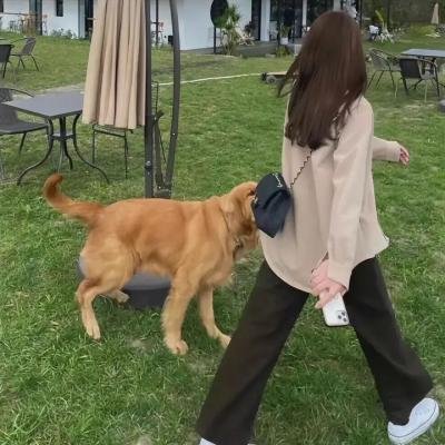 游艇藏春